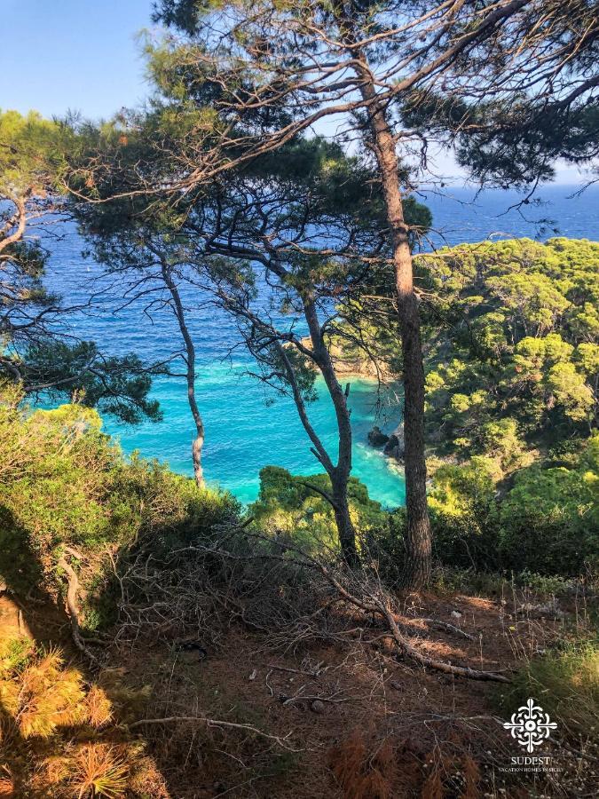 ヴィエステInfinito - Attico Sul Mareアパートメント エクステリア 写真